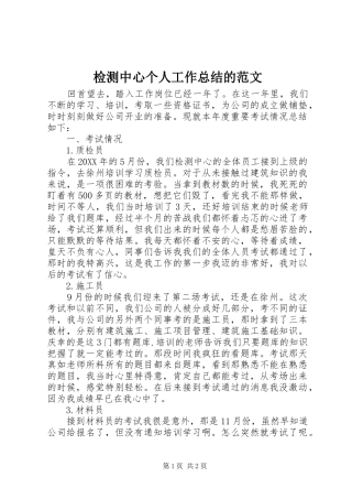 检测中心个人工作总结的范文