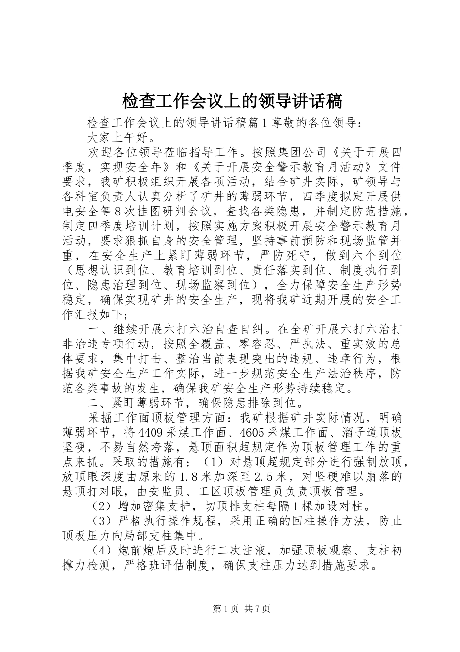 检查工作会议上的领导致辞稿_第1页