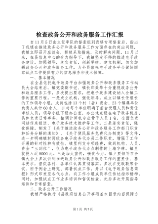 检查政务公开和政务服务工作汇报