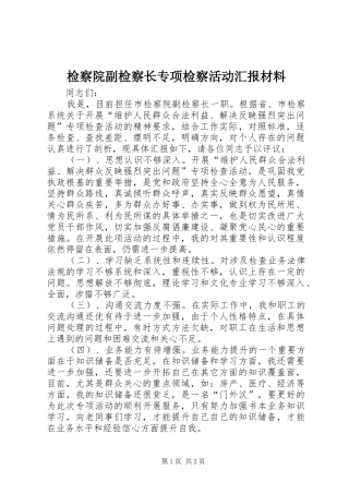 检察院副检察长专项检察活动汇报材料