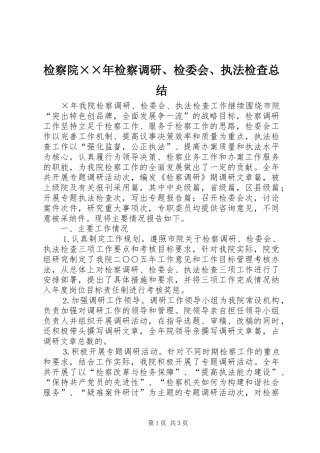 检察院年检察调研检委会执法检查总结