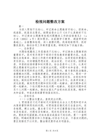 检视问题整改方案