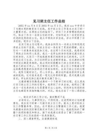 见习班主任工作总结