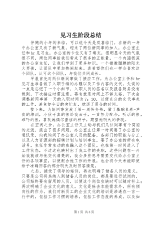 见习生阶段总结