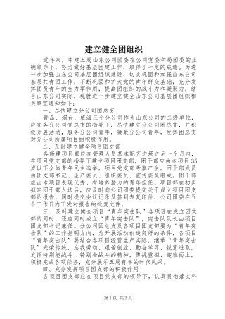 建立健全团组织