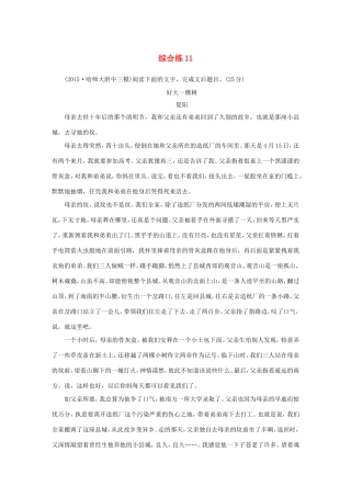 高考语文大二轮总复习 综合练11试题