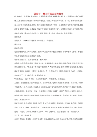 高考语文大一轮总复习 考场作文增分技法与训练 训练十 精心打造议论性散文试题