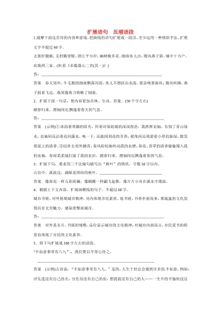高考语文大一轮总复习 语言文字运用 扩展语句　压缩语段 练习题（含解析）试题