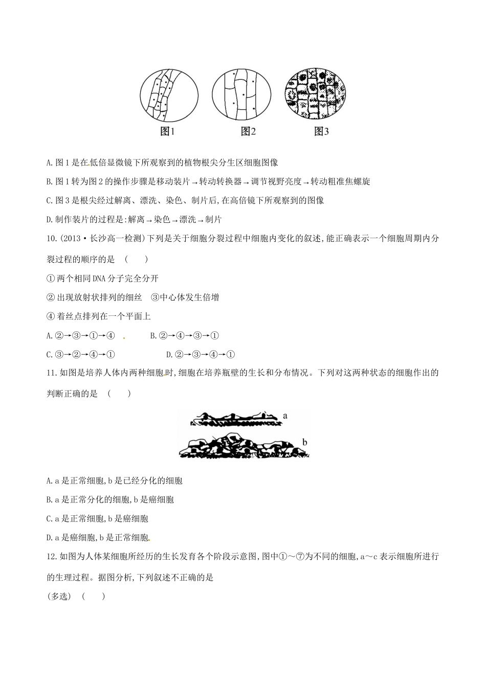 高中生物 第六章 细胞的生命历程单元质量评估（含解析） 新人教版必修1_第3页