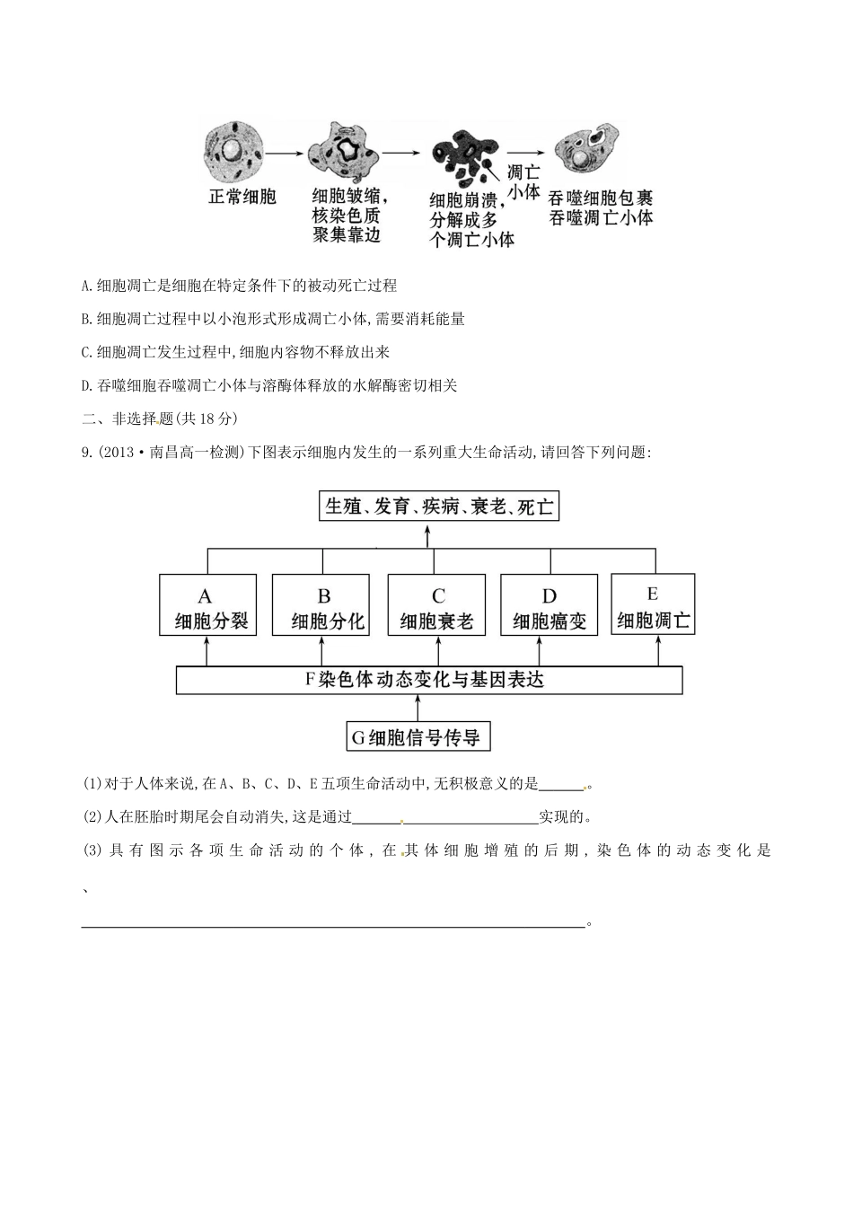 高中生物 课时提升卷(二十一) 第6章 第3节 第4节 细胞的衰老和凋亡 细胞的癌变（含2013试题，含解析） 新人教版必修1_第3页