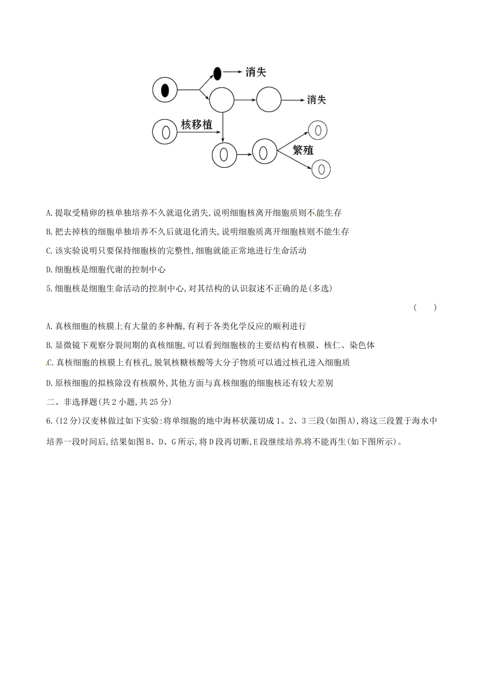 高中生物 课时提升卷(十) 第3章 第3节 细胞核 系统的控制中心（含2013试题，含解析） 新人教版必修1_第2页