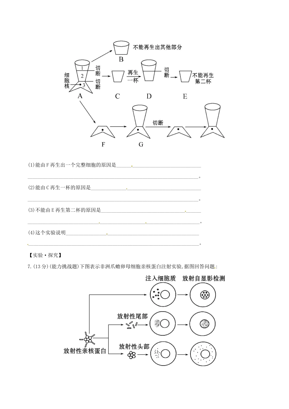 高中生物 课时提升卷(十) 第3章 第3节 细胞核 系统的控制中心（含2013试题，含解析） 新人教版必修1_第3页