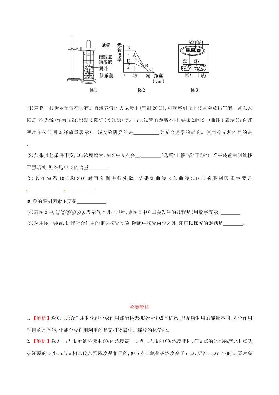 高中生物 课时提升卷(十八) 第5章 第4节 能量之源 光与光合作用第2课时（含2013试题，含解析） 新人教版必修1_第3页