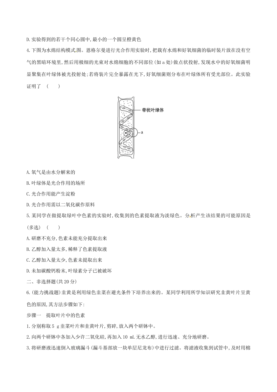 高中生物 课时提升卷(十六) 第5章 第4节 能量之源 光与光合作用（含2013试题，含解析） 新人教版必修1_第2页