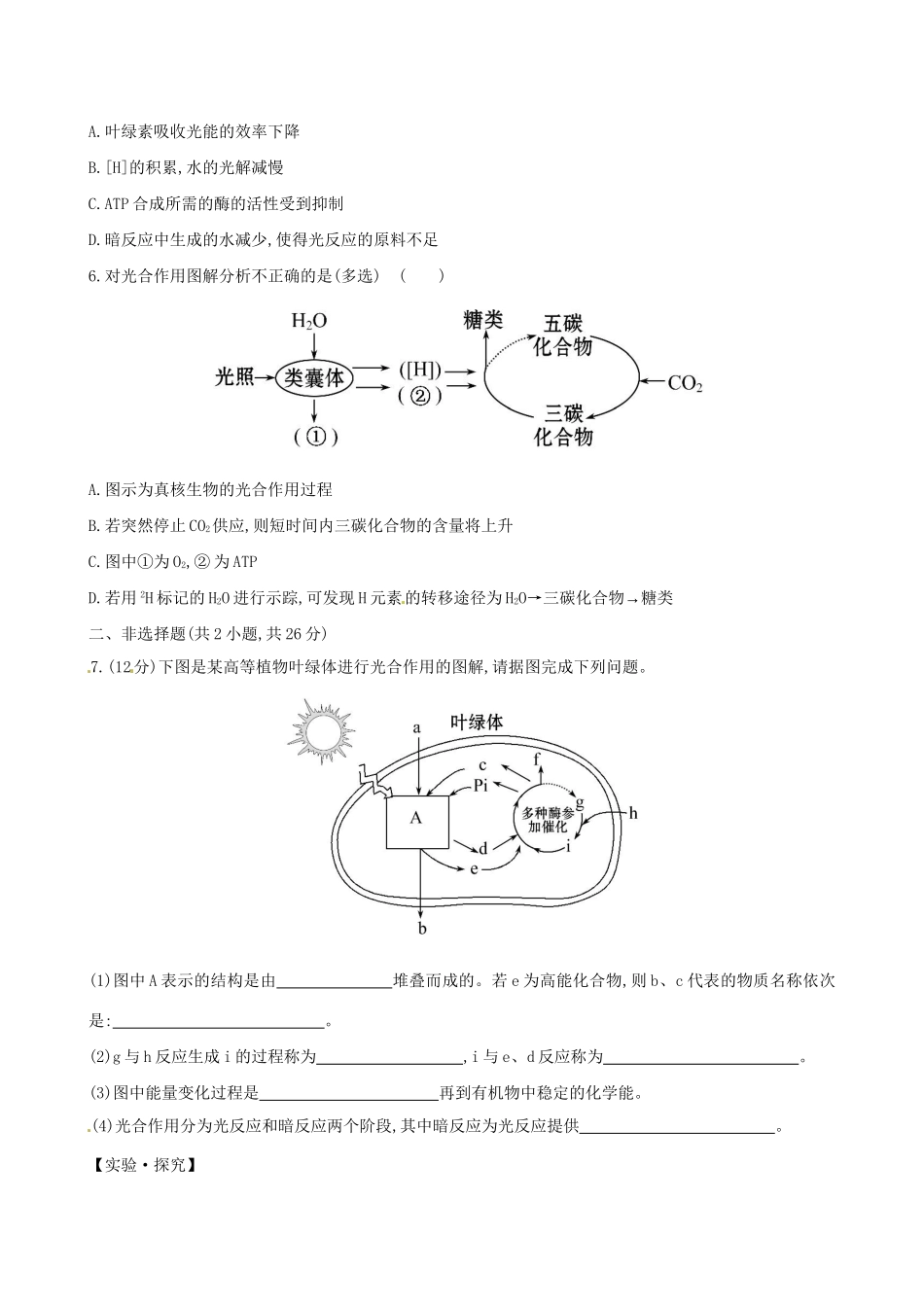 高中生物 课时提升卷(十七) 第5章 第4节 能量之源 光与光合作用 第1课时（含2013试题，含解析） 新人教版必修1_第2页