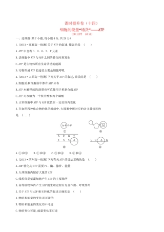 高中生物 课时提升卷(十四) 第5章 第2节 细胞的能量“通货”──ATP（含2013试题，含解析） 新人教版必修1