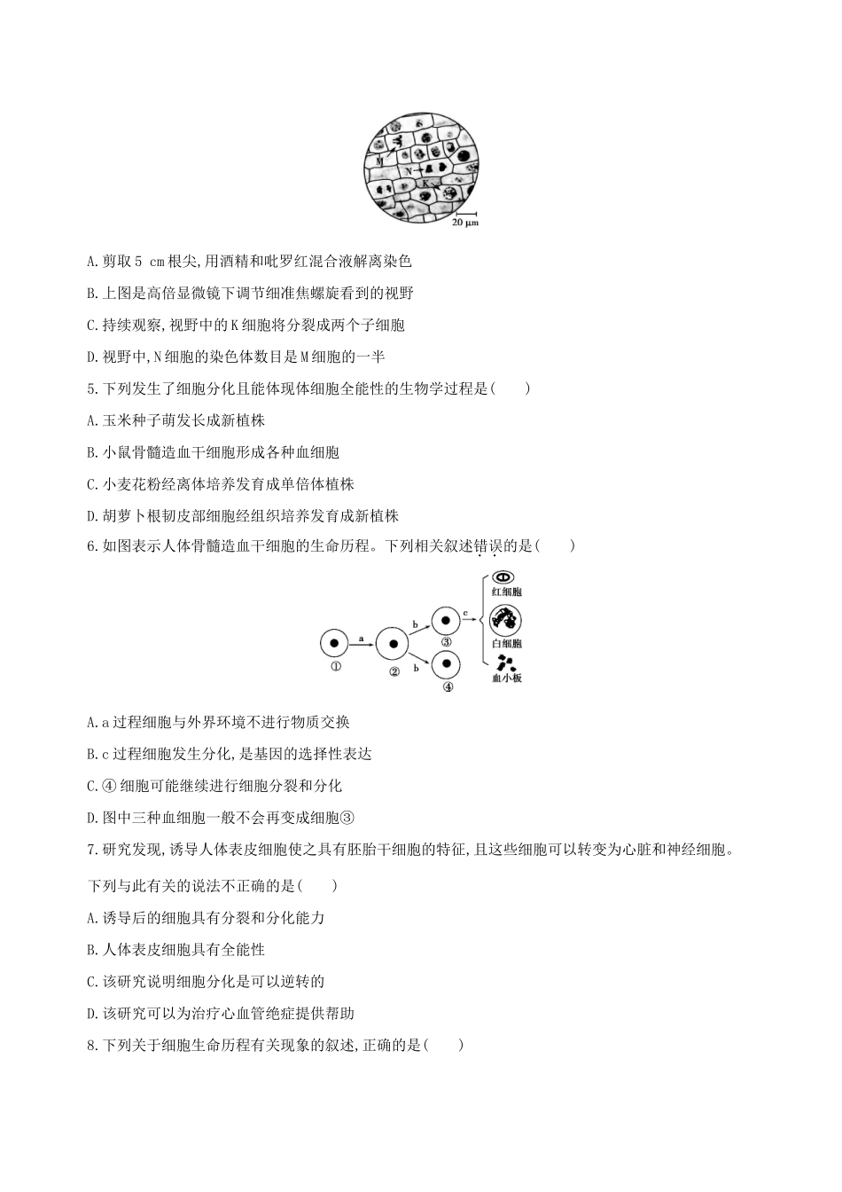 高考生物一轮复习 精练7 理解概念、抓住特征解读细胞生命历程问题-人教版高三生物试题_第2页