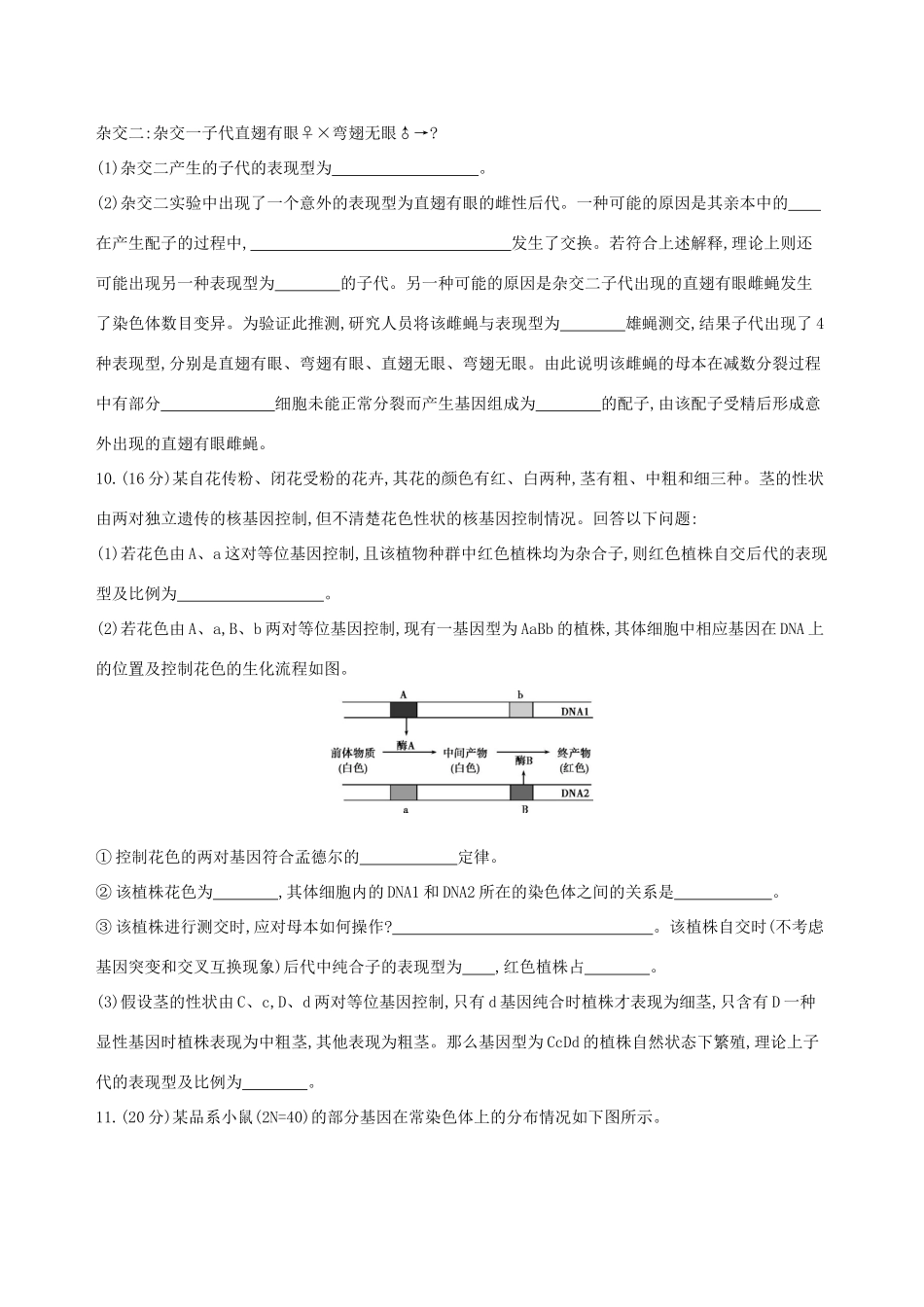 高考生物一轮复习 精练10 理解规律、把握本质诠释遗传基本规律问题-人教版高三生物试题_第3页