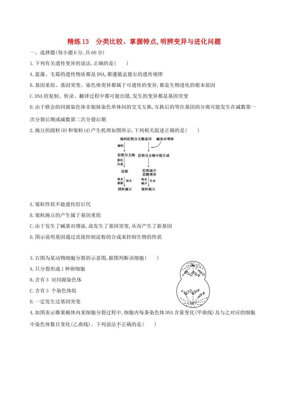 高考生物一轮复习 精练13 分类比较、掌握特点明辨变异与进化问题-人教版高三生物试题_第1页