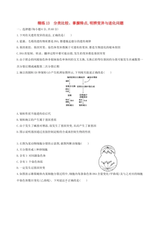 高考生物一轮复习 精练13 分类比较、掌握特点明辨变异与进化问题-人教版高三生物试题