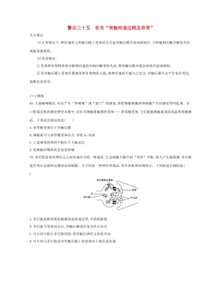 高考生物一轮复习 专题三十五 有关“突触传递过程及异常”-人教版高三生物试题