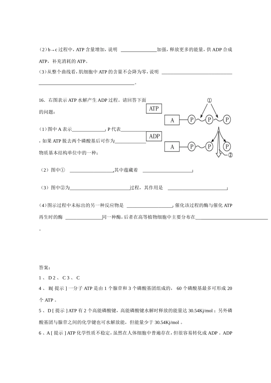 （同步练习） 细胞的能量货币-ATP_第3页