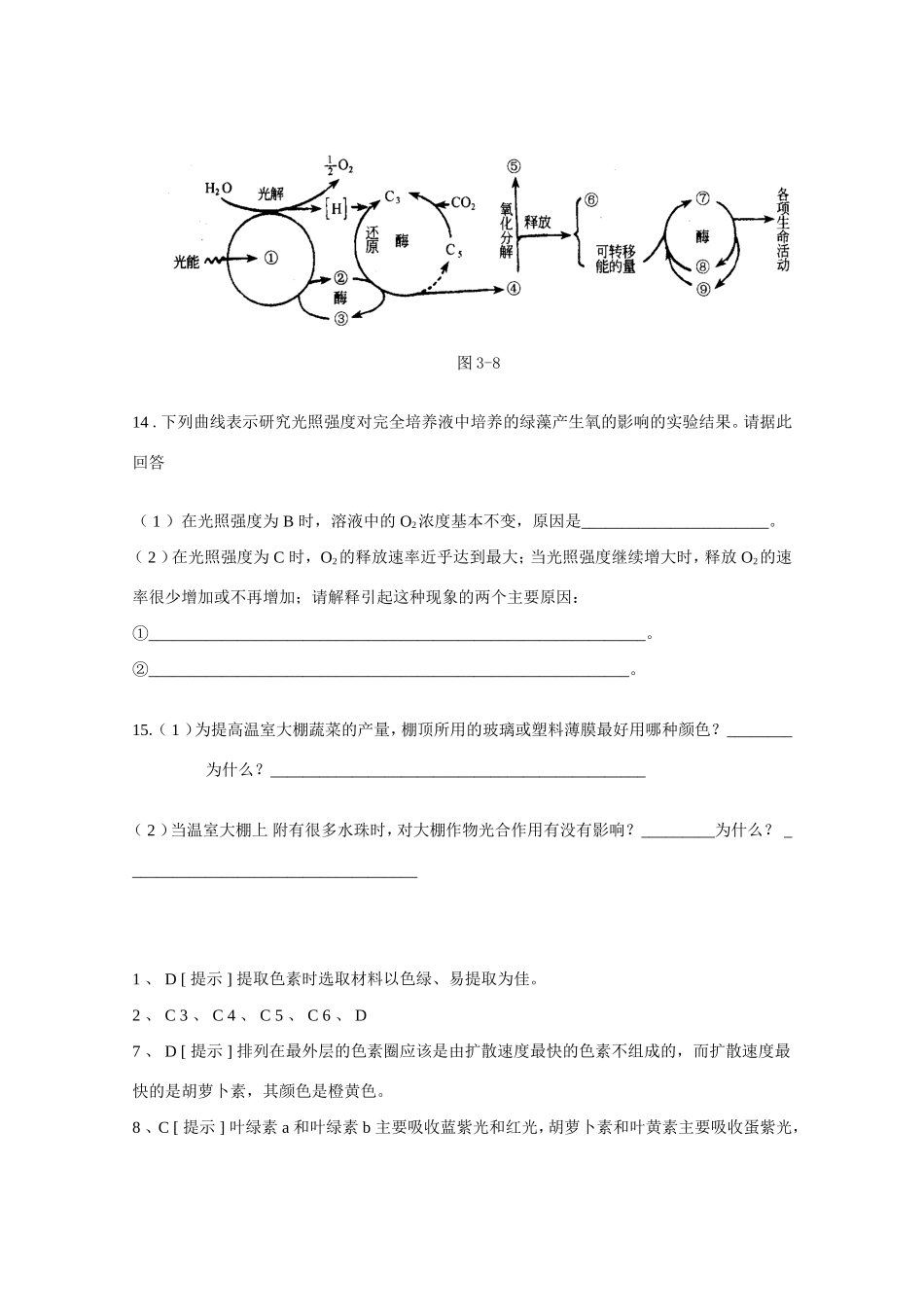 （同步练习）能量之源—光与光合作用_第3页