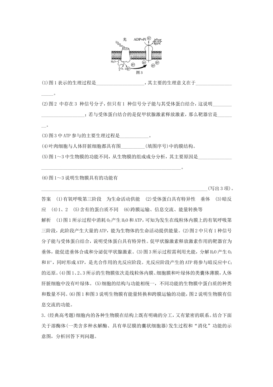 高考生物二轮复习专题1 细胞的分子组成和结构 考点3 生物膜系统结构与功能统一性的理解及应用-人教版高三生物试题_第3页