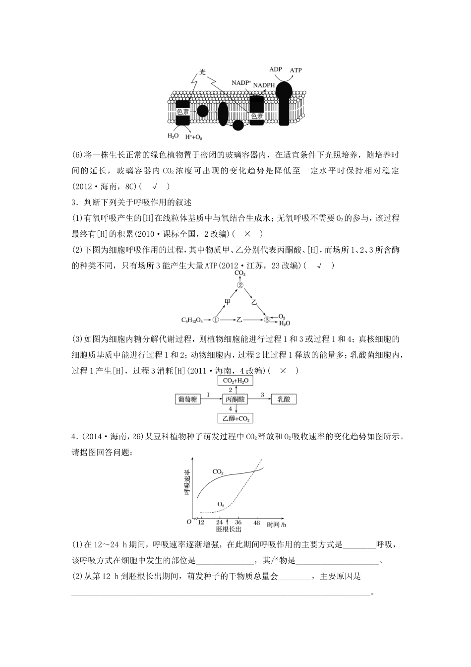 高考生物二轮复习专题2 细胞的代谢 考点6 透过光合作用和细胞呼吸原理，掌握过程关系图解-人教版高三生物试题_第3页