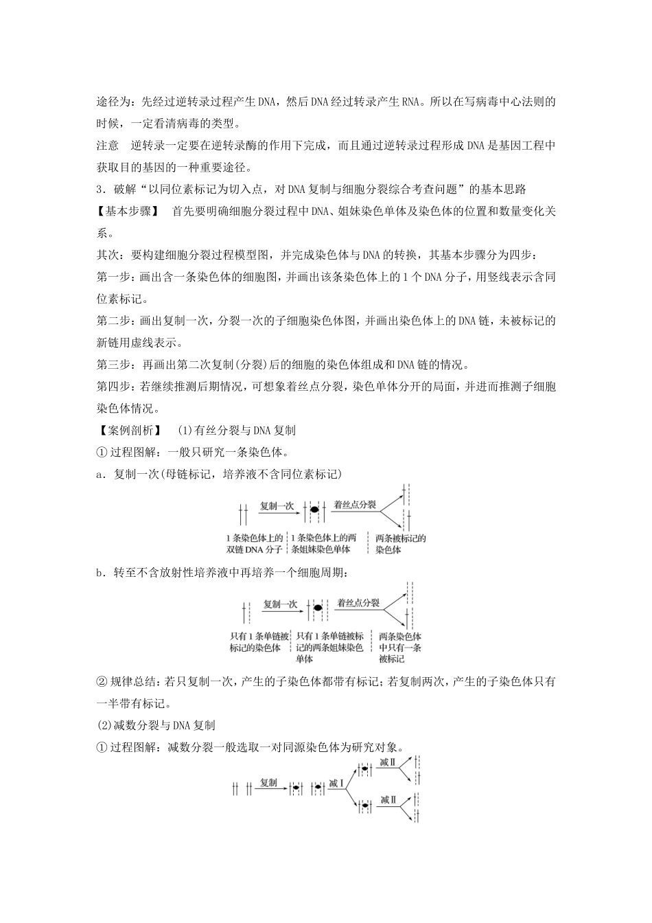 高考生物二轮复习专题4 遗传的分子基础 考点14 理清遗传信息的传递和表达过程及数量关系-人教版高三生物试题_第2页