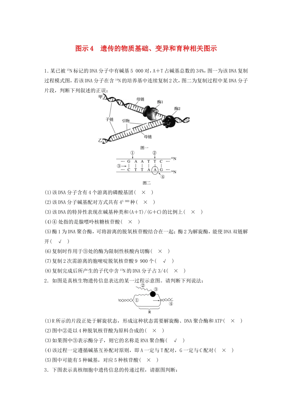 高考生物二轮复习专项4 考前回扣保温练 保温措施2 重点图示强化练4 遗传的物质基础、变异和育种相关图示-人教版高三生物试题_第1页