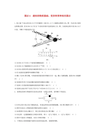 高考生物二轮复习专项4 考前回扣保温练 保温措施2 重点图示强化练4 遗传的物质基础、变异和育种相关图示-人教版高三生物试题