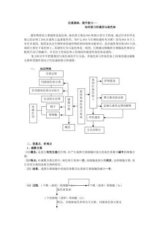 高中生物 第2章第2节基因位于染色体上复习 新人教版必修2