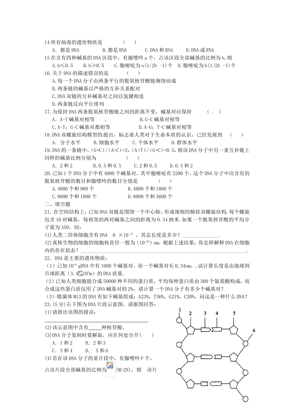 高中生物 第3章第2节 DNA分子的结构课时训练 新人教版必修2_第2页