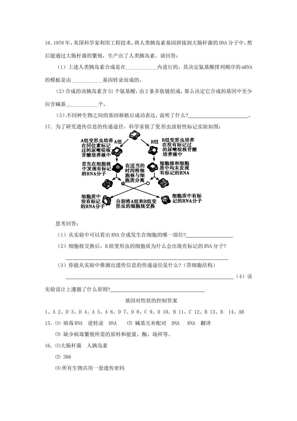 高中生物 第4章第2节 基因对性状的控制课时练习 新人教版必修2_第3页