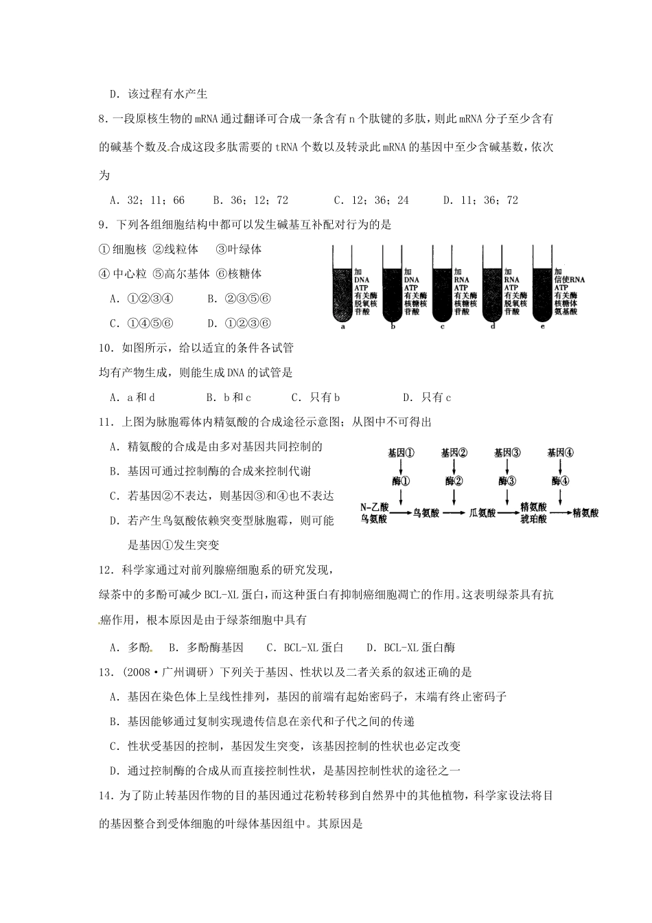 高中生物《第四章 基因的表达》单元测试A 新人教版必修2_第2页