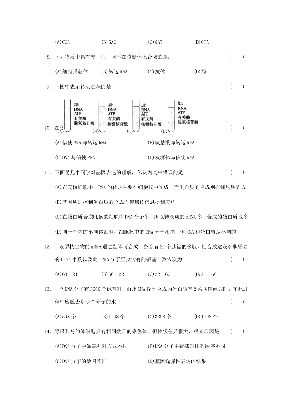 高中生物《第四章 基因的表达》单元测试B 新人教版必修2_第2页