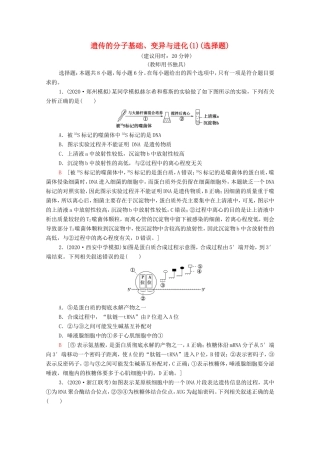 高考生物二轮复习 命题点专练7 遗传的分子基础、变异与进化（1）（选择题）（含解析）-人教版高三生物试题