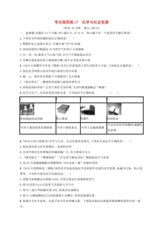 高考化学一轮复习 考点规范练17 化学与社会发展（含解析）-人教版高三化学试题