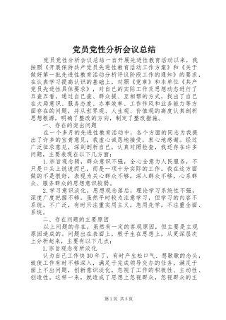 2024年党员党性分析会议总结