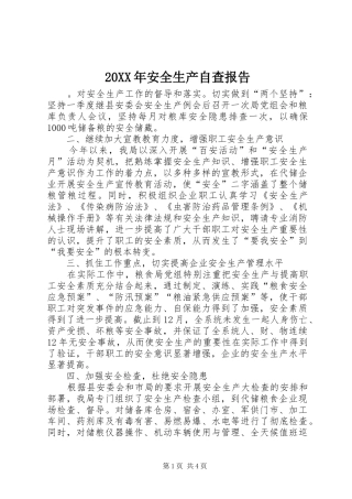 2024年安全生产自查报告