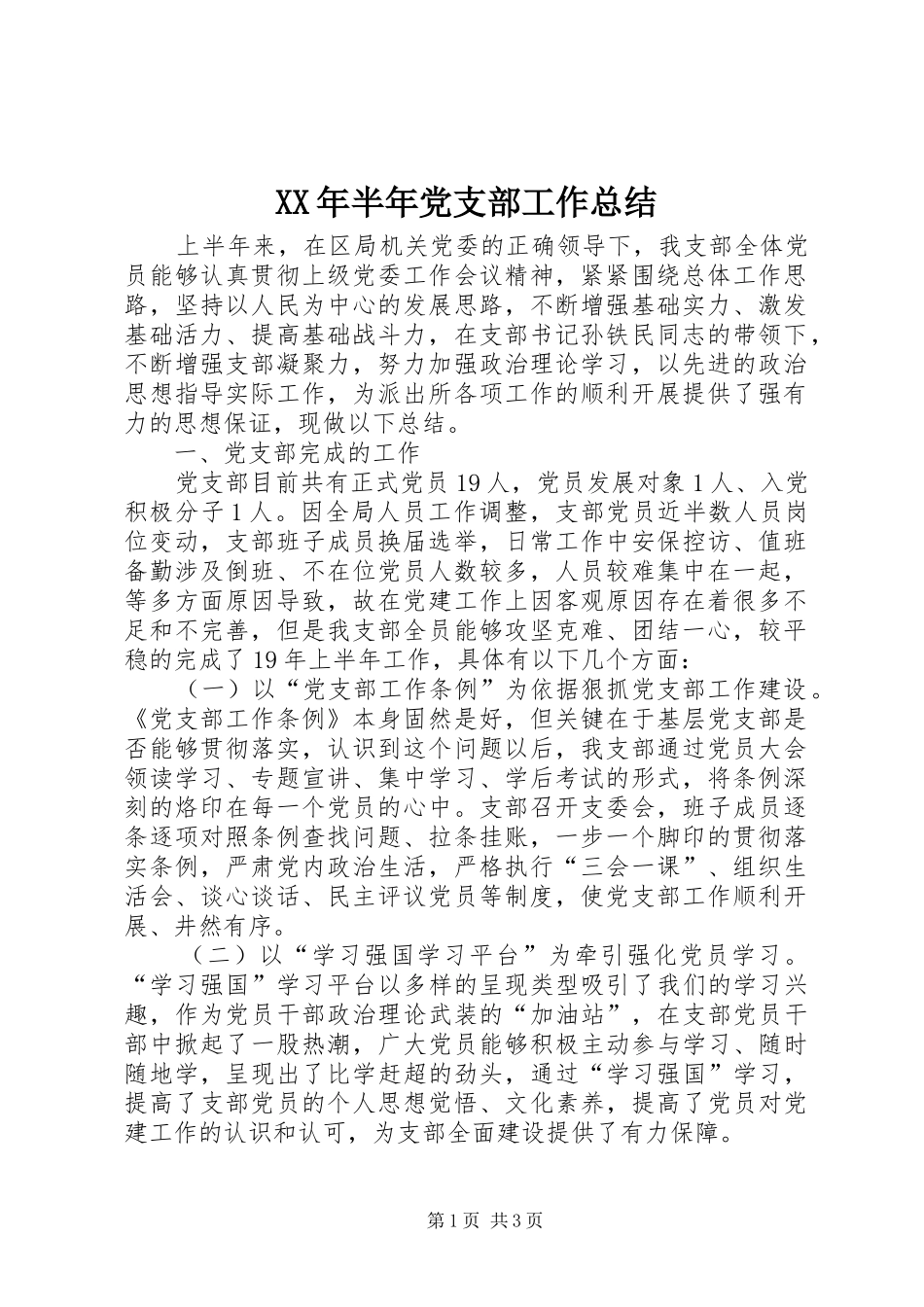 2024年半年党支部工作总结_第1页