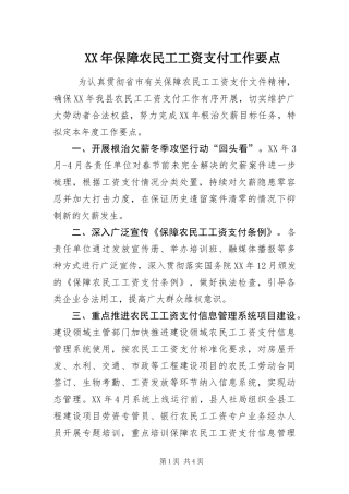 2024年保障农民工工资支付工作要点