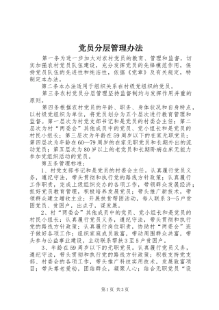 2024年党员分层管理办法