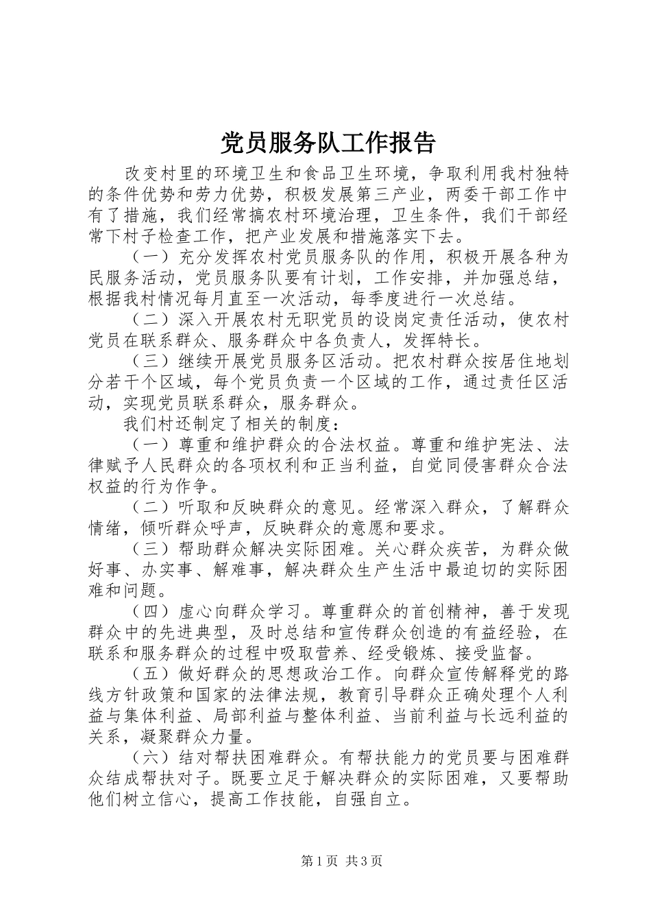 2024年党员服务队工作报告_第1页