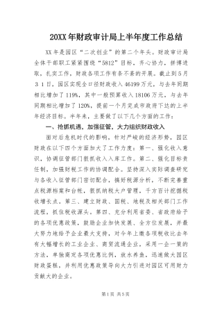 2024年财政审计局上半年度工作总结