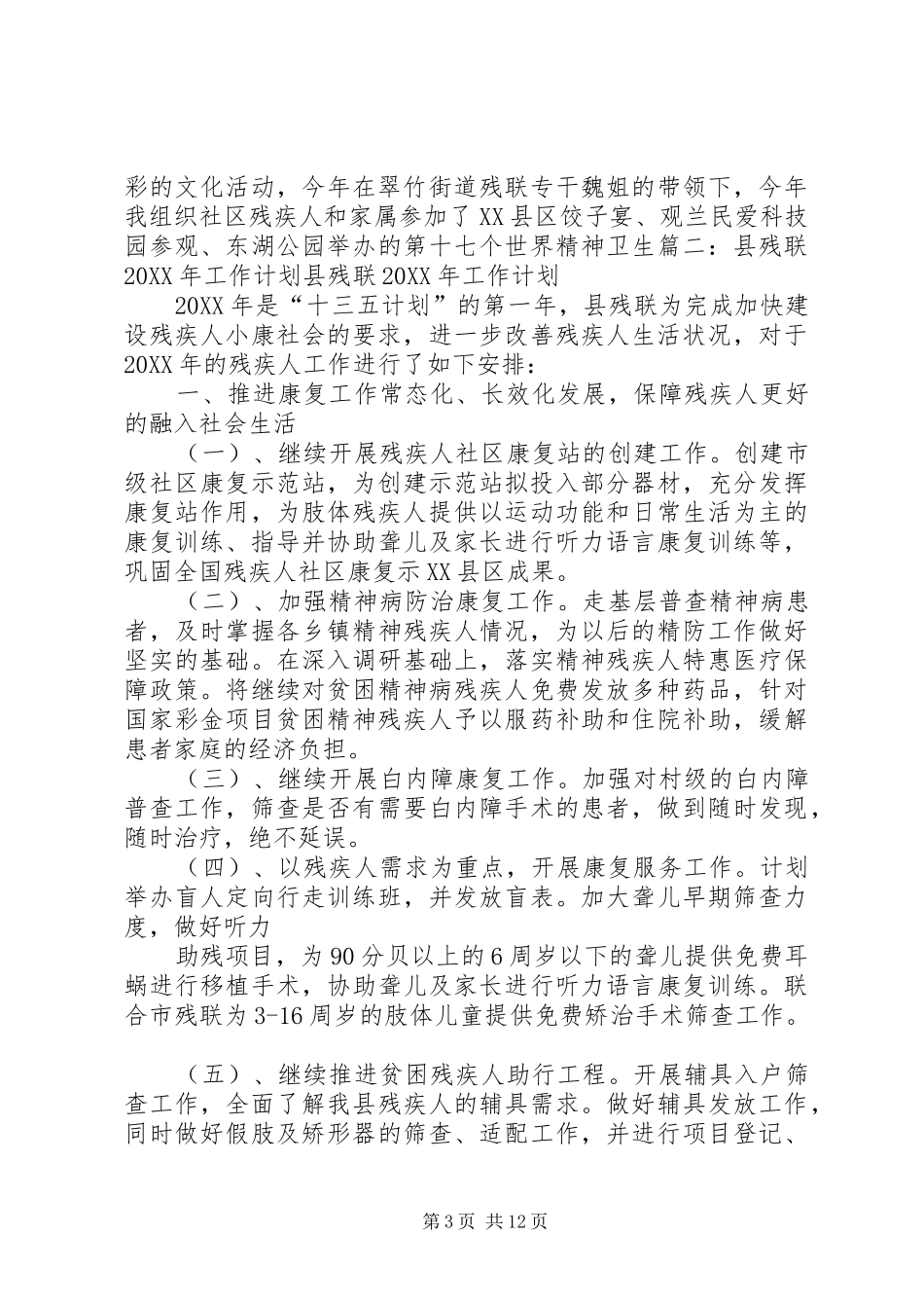 2024年残疾人联合会工作计划_第3页