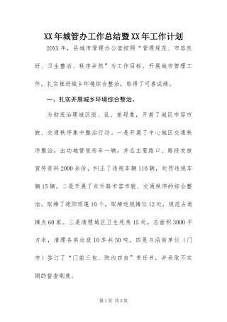 2024年城管办工作总结暨工作计划