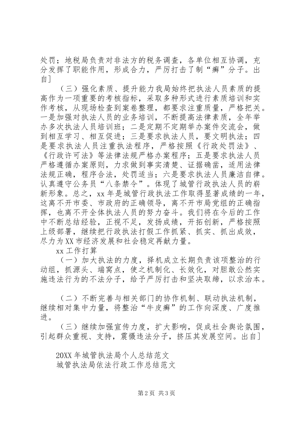 2024年城管执法打假工作总结范文_第2页