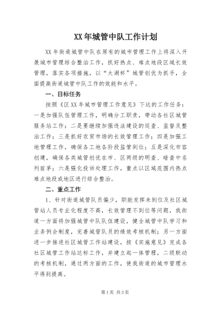 2024年城管中队工作计划